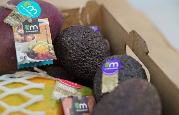 Nueva web Be Tropical My Friend