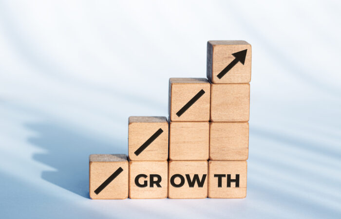 Introducción al Growth Marketing